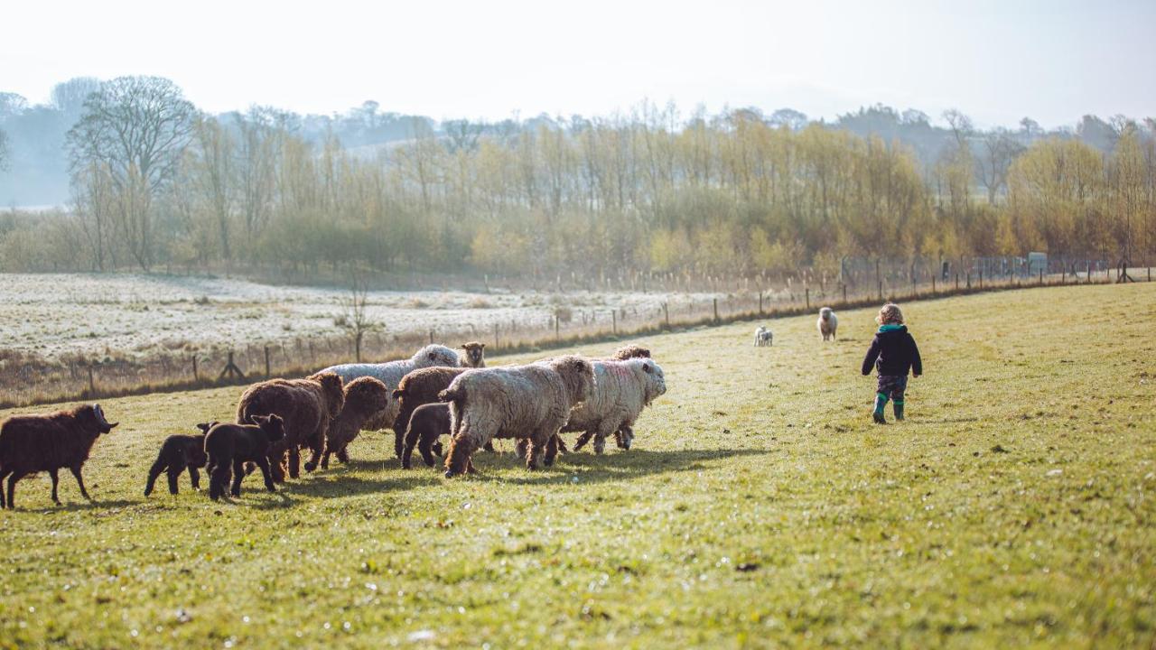Shabby Shepherds Пенрит Экстерьер фото